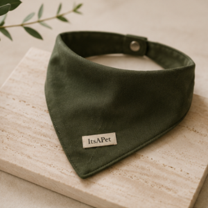 Bandana 1