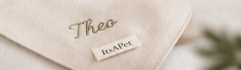 Bandana personalizada